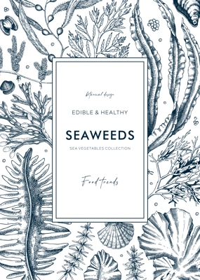 Hand-drawn edible seaweeds frame design. Sea algae in sketch style. Vector illustration with kelp, wakame, kombu, and hijiki drawings. Healthy food ingredients banner for Asian cuisine menu.